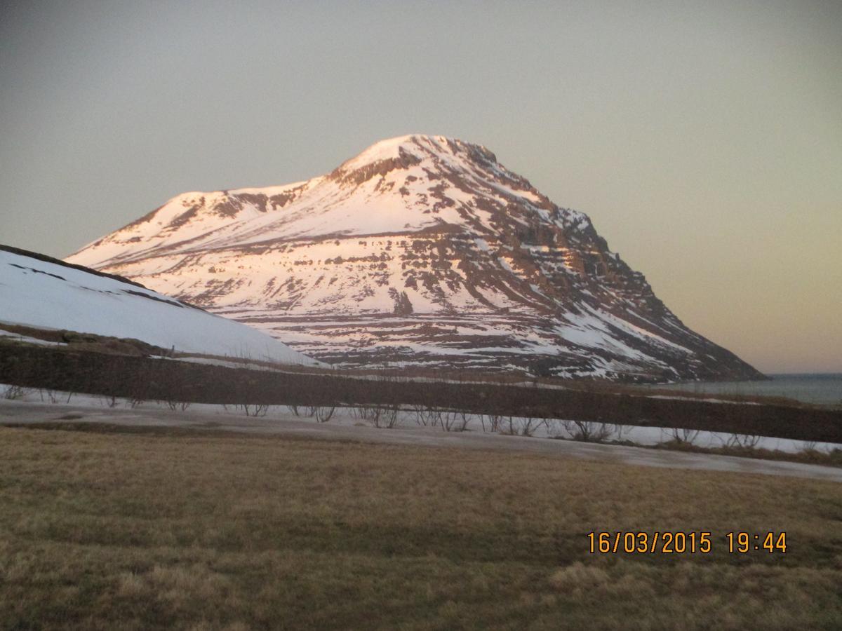 Smyrill Cottages Þórshöfn Extérieur photo
